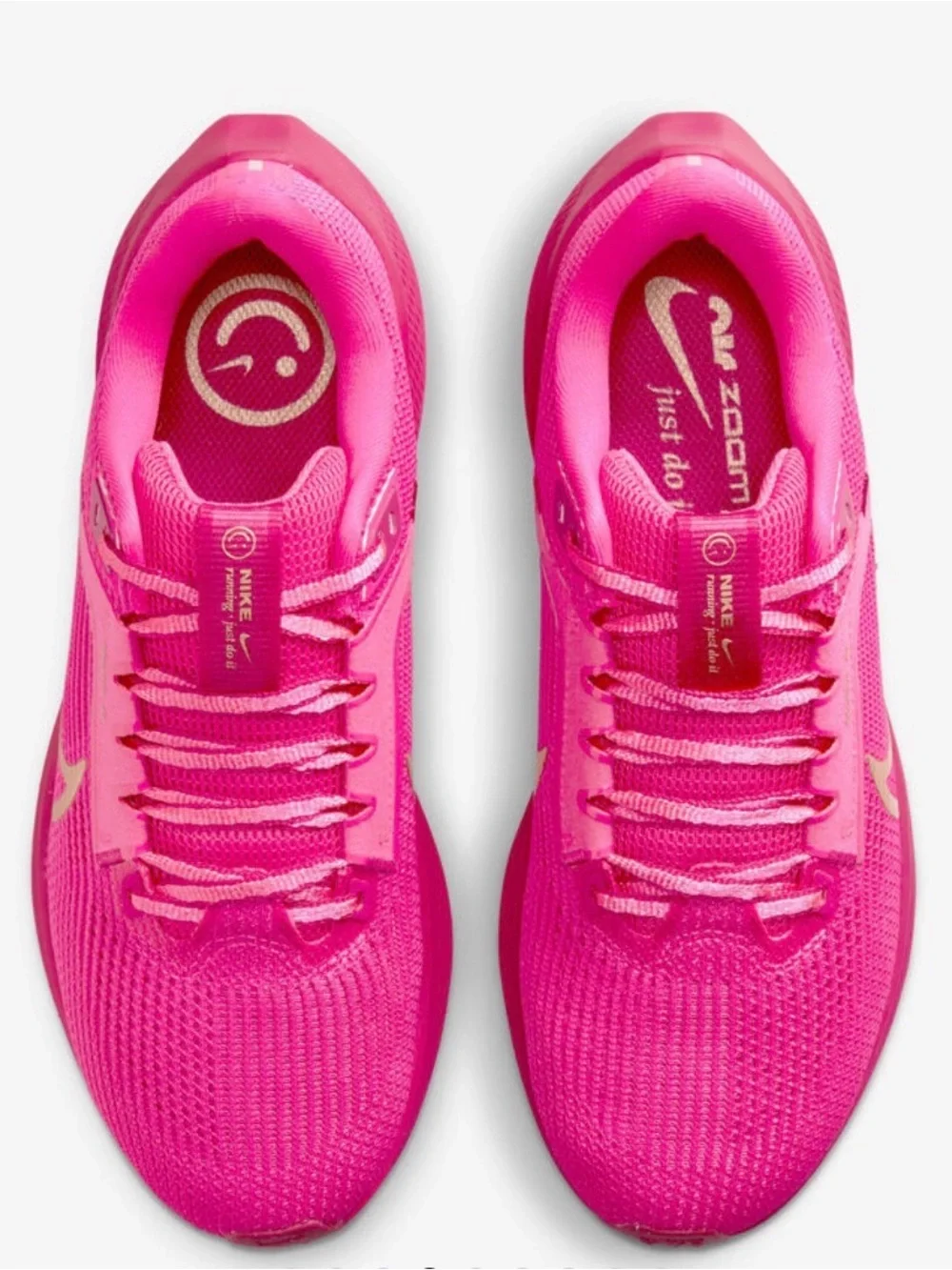 Nike pegasus 40